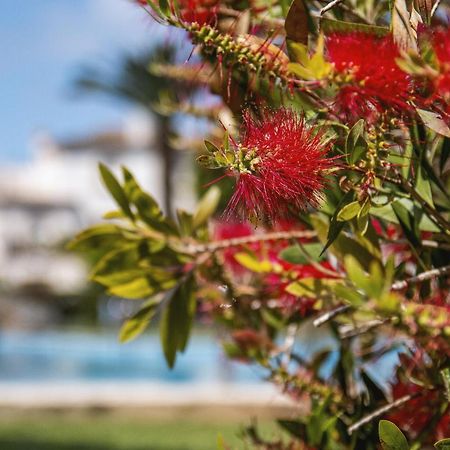 Avalon Διαμέρισμα Γιαβέα Εξωτερικό φωτογραφία