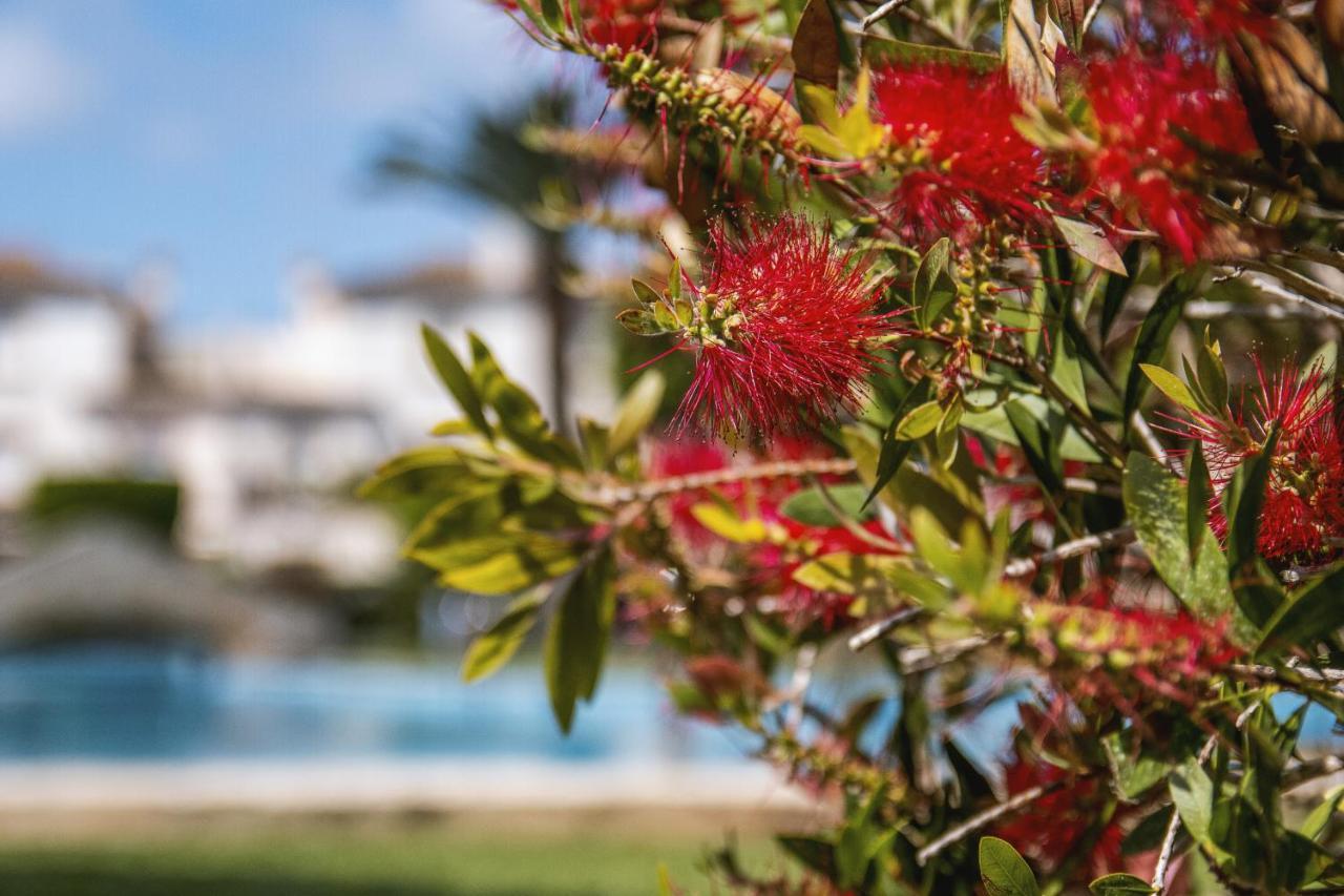 Avalon Διαμέρισμα Γιαβέα Εξωτερικό φωτογραφία